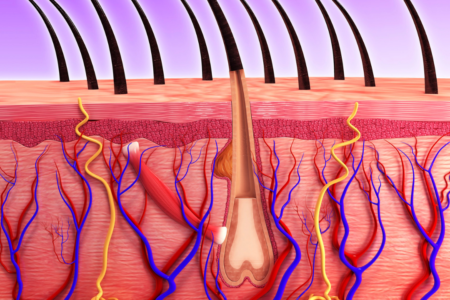 Quiz de dermatología #1